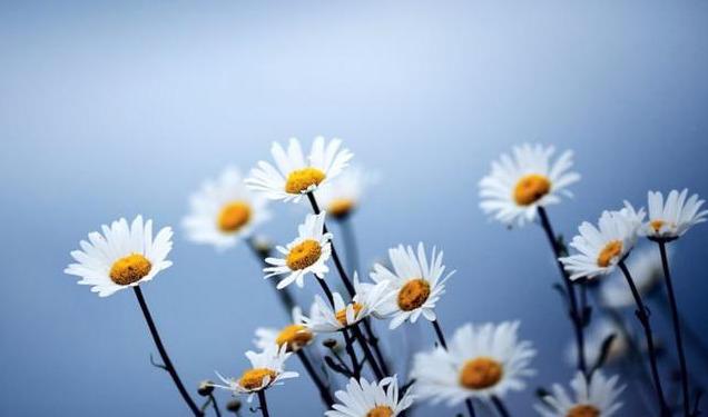 一生，有一知己真好(图1)