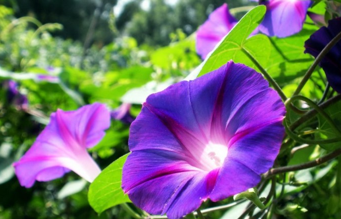 一生，有一知己真好(图2)