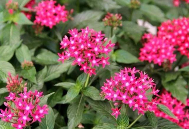 一生，有一知己真好(图3)