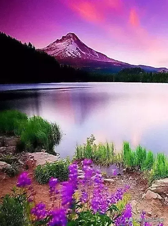 好朋友！有你，真好(图2)