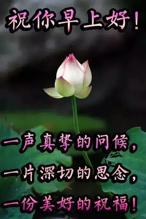 人生，因朋友而美好，朋友：因知心而幸福，好友，感恩有你，早安(图5)