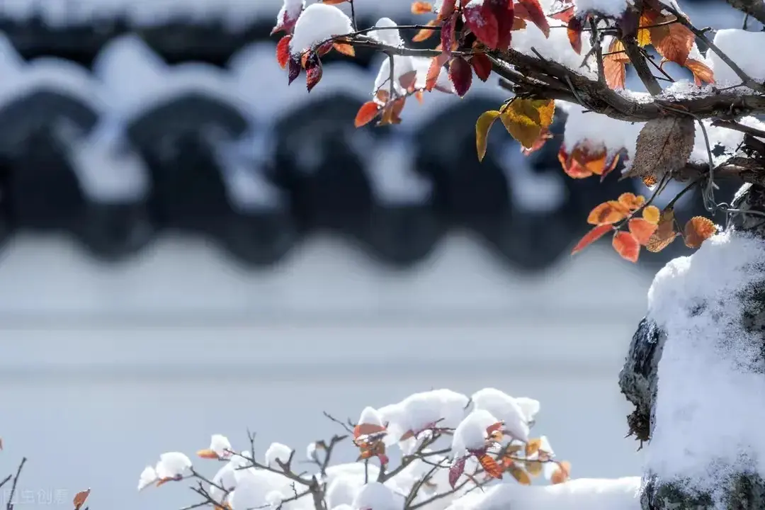 浅冬如愿，飞雪眉间，愿一场雪温润往事，一夜梦落指缱绻(图3)