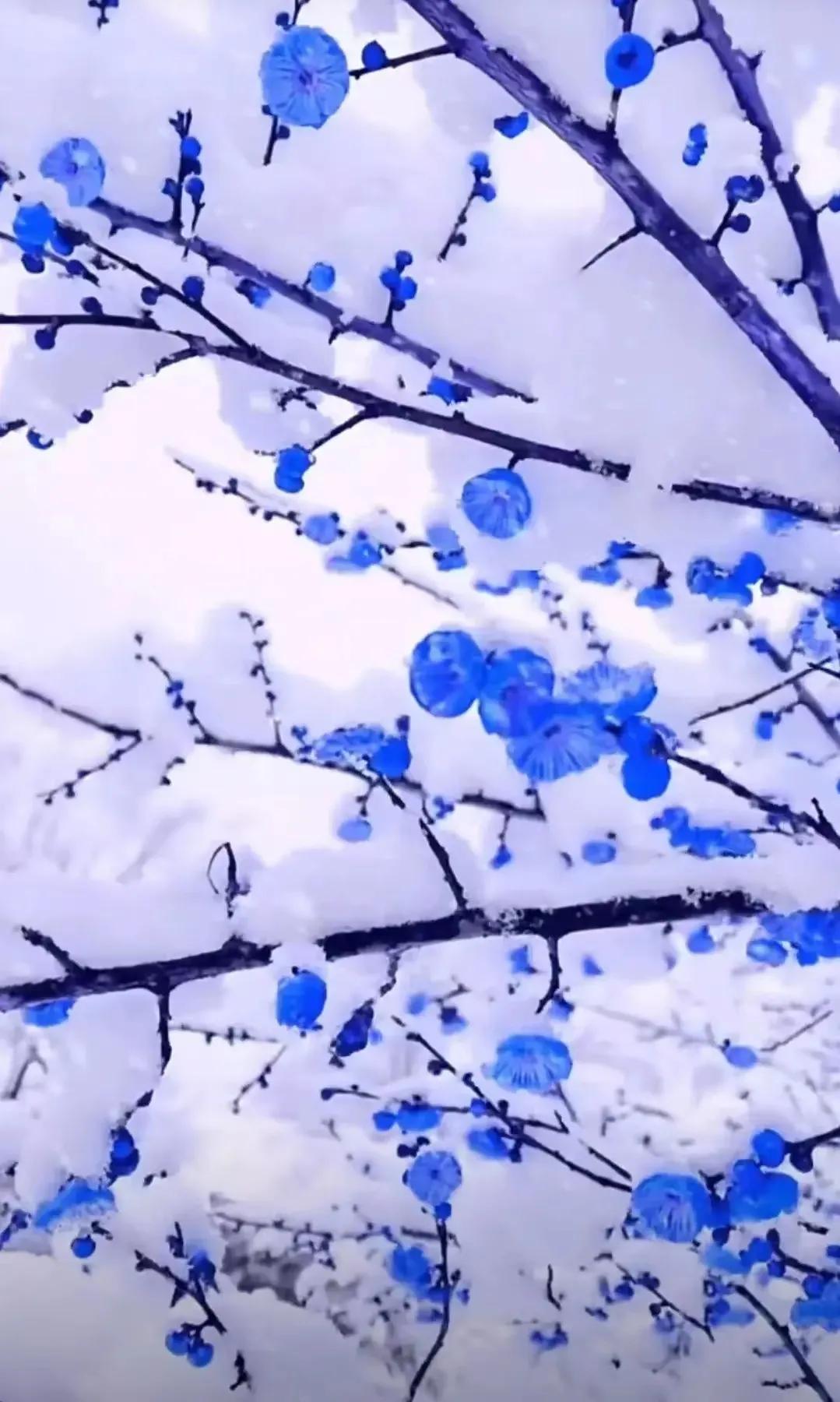 一念风霜起，一念浮生醉，落雪为安，流年无恙(图1)