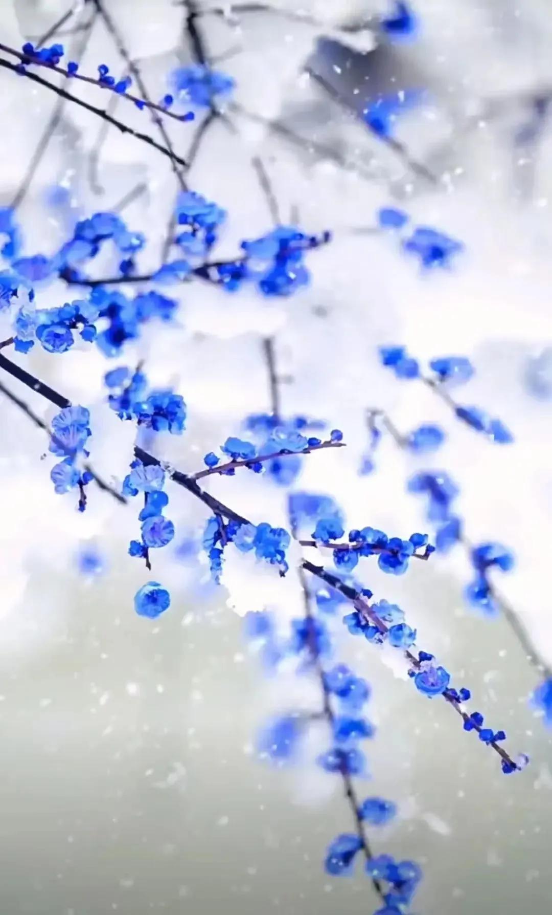 一念风霜起，一念浮生醉，落雪为安，流年无恙(图3)