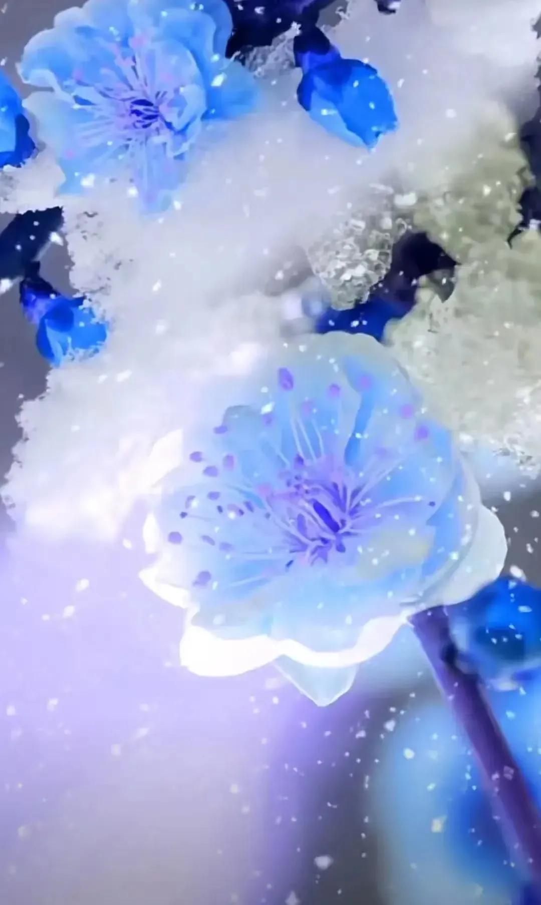 一念风霜起,一念浮生醉,落雪为安,流年无恙(图5) 一念风霜起,一念浮生醉,落雪为安,流年无恙(图5)