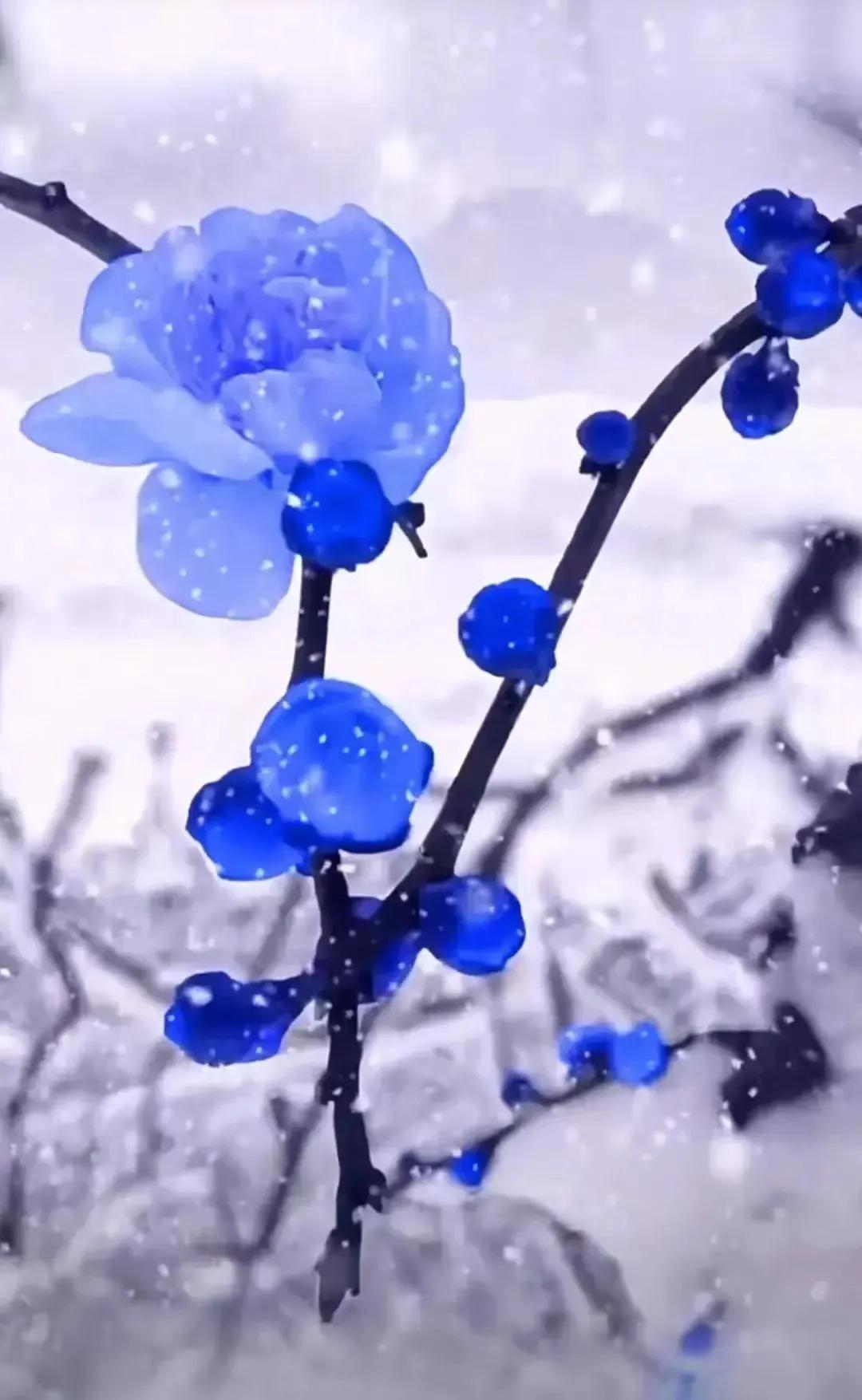 一念风霜起,一念浮生醉,落雪为安,流年无恙(图6) 一念风霜起,一念浮生醉,落雪为安,流年无恙(图6)