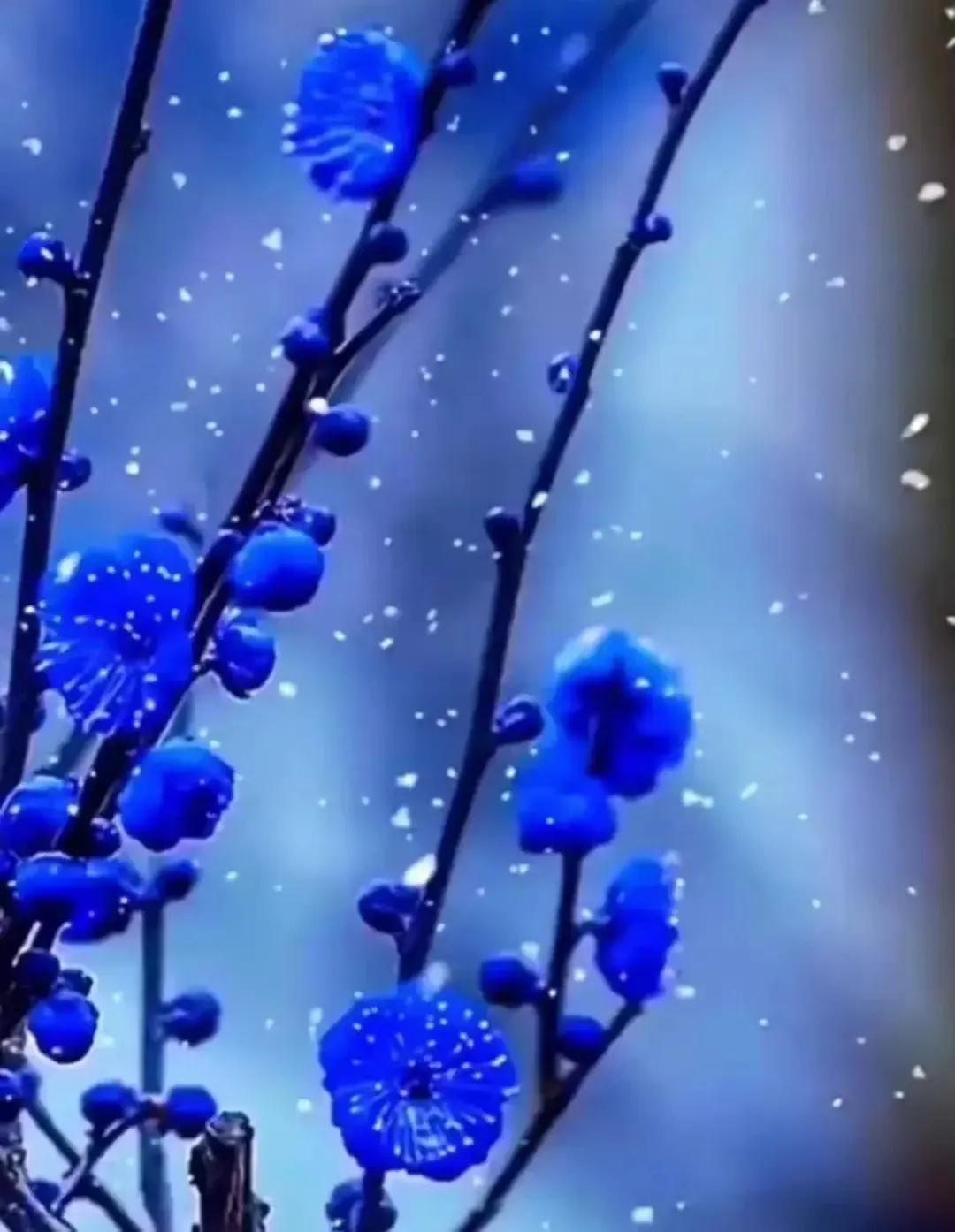 一念风霜起,一念浮生醉,落雪为安,流年无恙(图7) 一念风霜起,一念浮生醉,落雪为安,流年无恙(图7)