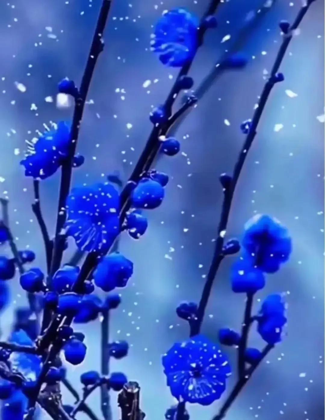 一念风霜起，一念浮生醉，落雪为安，流年无恙(图9)