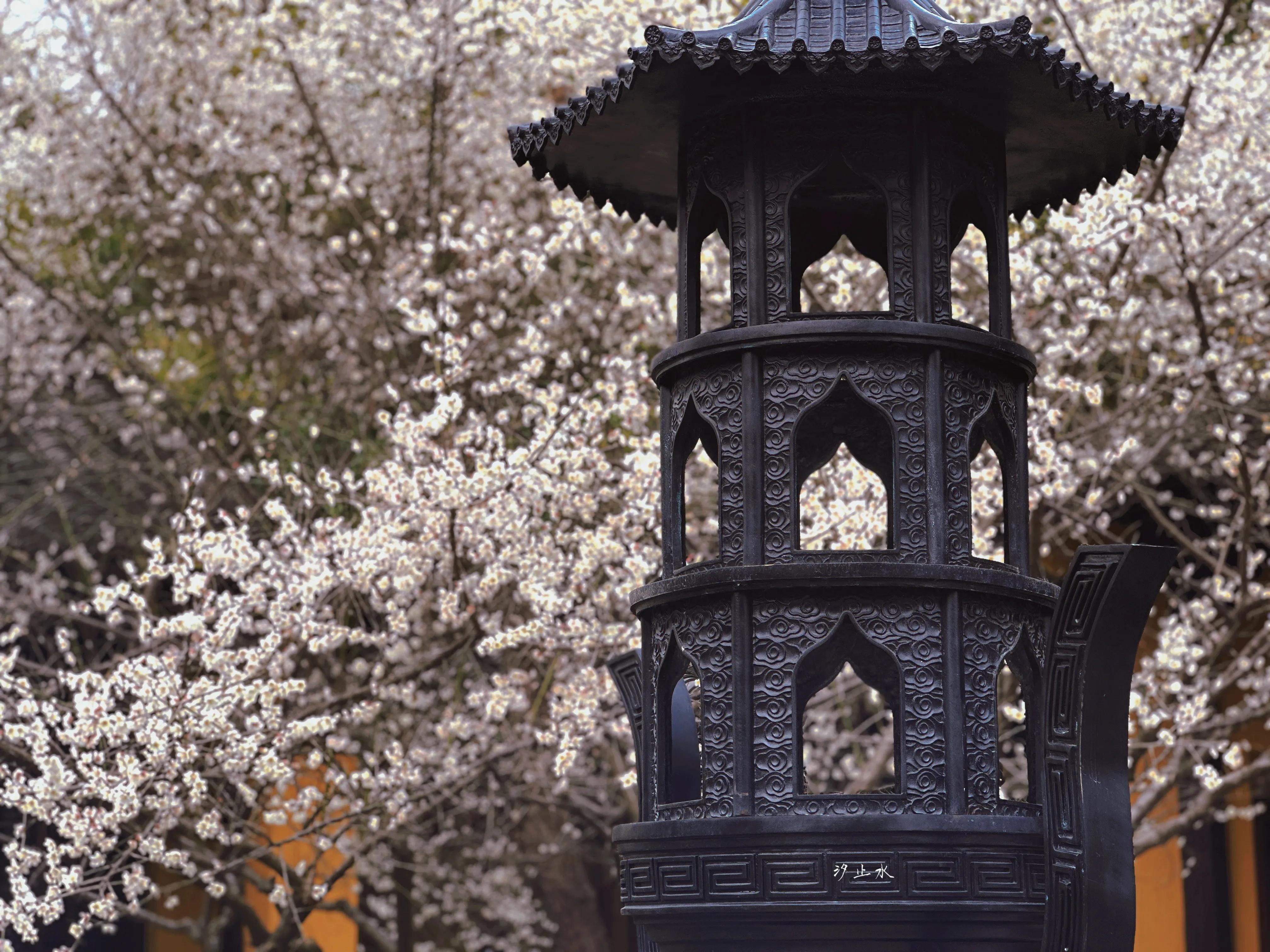 借风御雪，赠人间一场浩瀚的浪漫(图2)