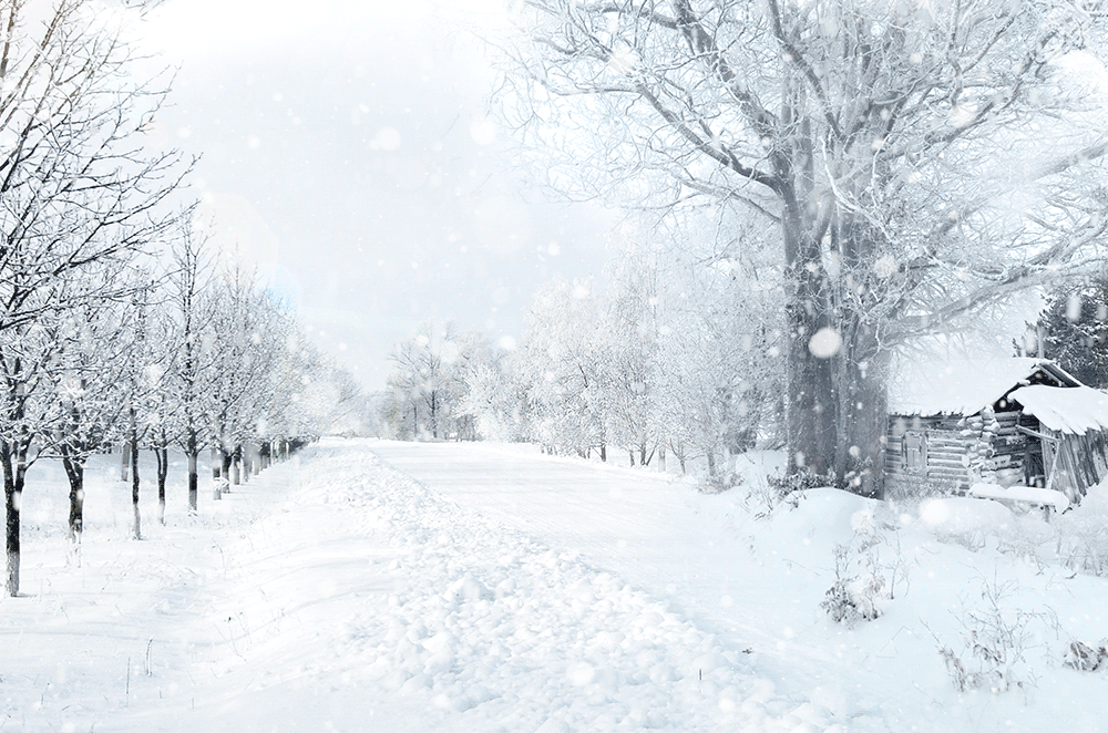 一日风飘雪，翌日雪满道(图1)