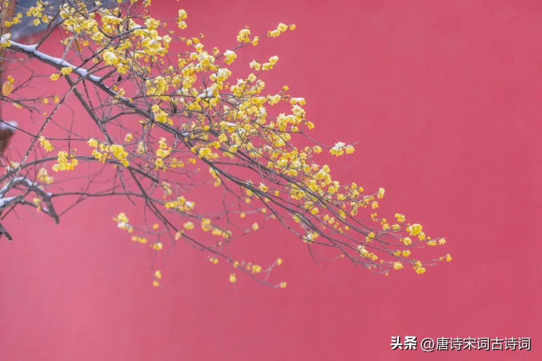 一日风飘雪，翌日雪满道(图3)