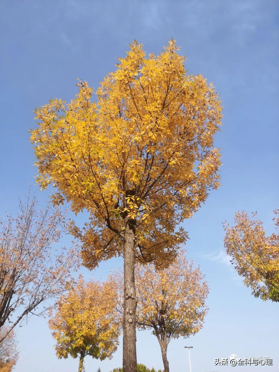 努力拼搏的句子，正能量激励人的文案(图2)