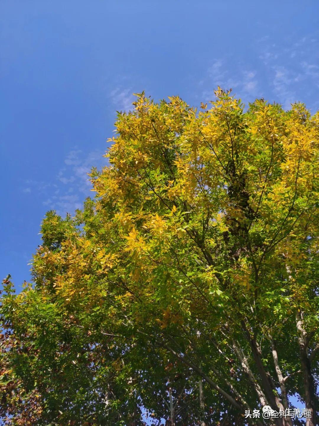 努力拼搏的句子，正能量激励人的文案(图3)