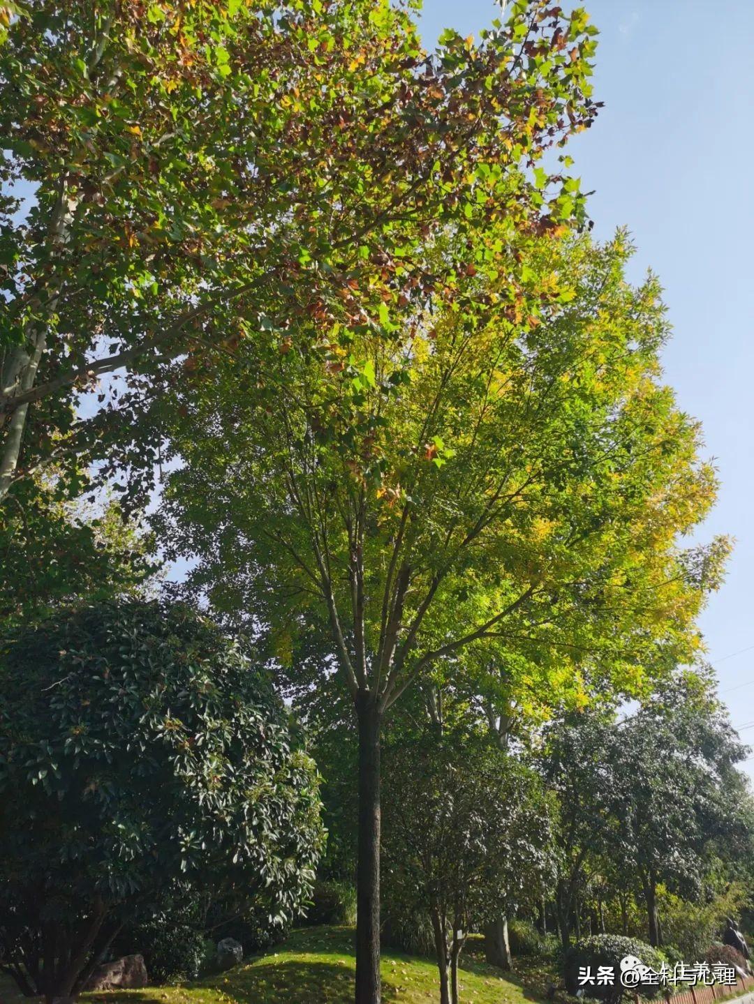 努力拼搏的句子，正能量激励人的文案(图4)