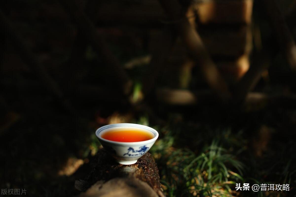 一个人喝茶悠闲幽默的句子(图6)