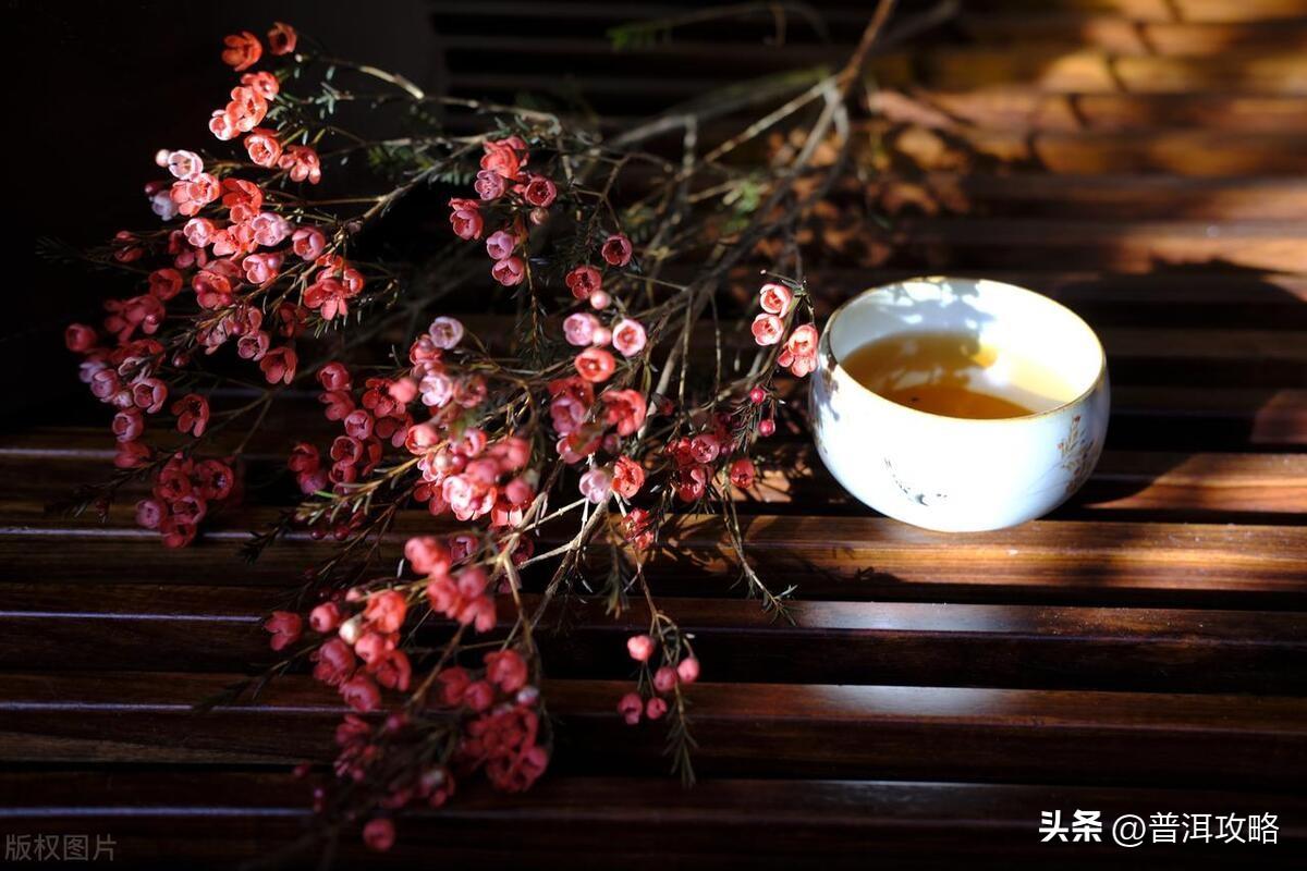 一个人喝茶悠闲幽默的句子(图8)