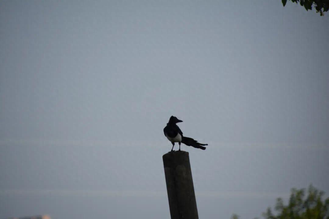 诗词｜精选148句描写送别的诗词名句，值得收藏细品(图1)