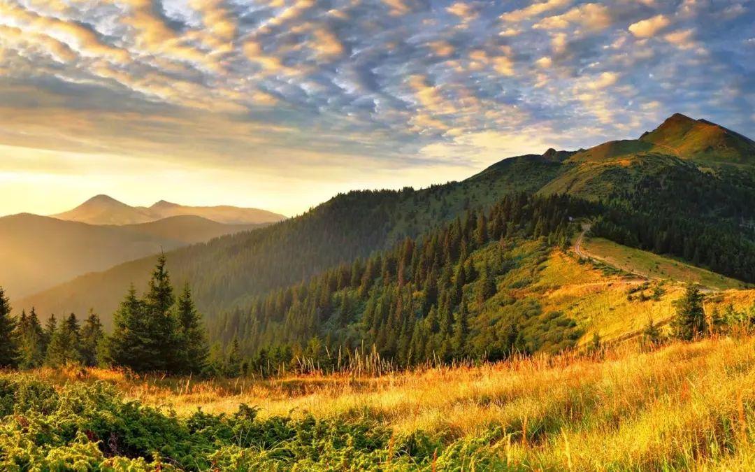 享受浪漫时刻，送上25句浓情深意的“我爱你”句子！(图6)