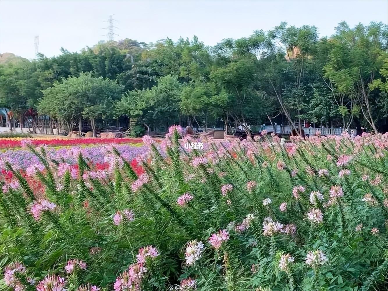 一个人一座城的句子，精美入心，道尽人生百态(图1)