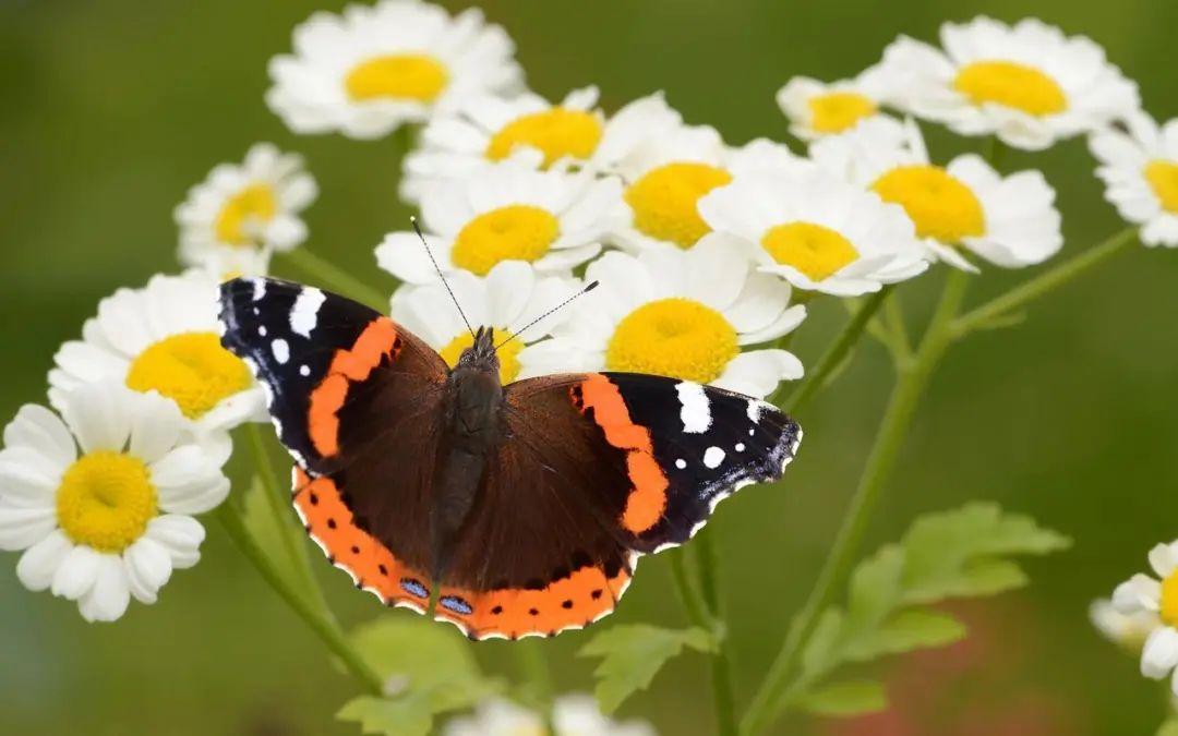 一个人一座城的句子，精美入心，道尽人生百态(图3)