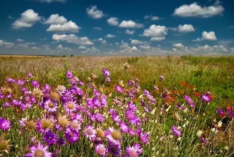 一个人一座城的句子，精美入心，道尽人生百态(图4)