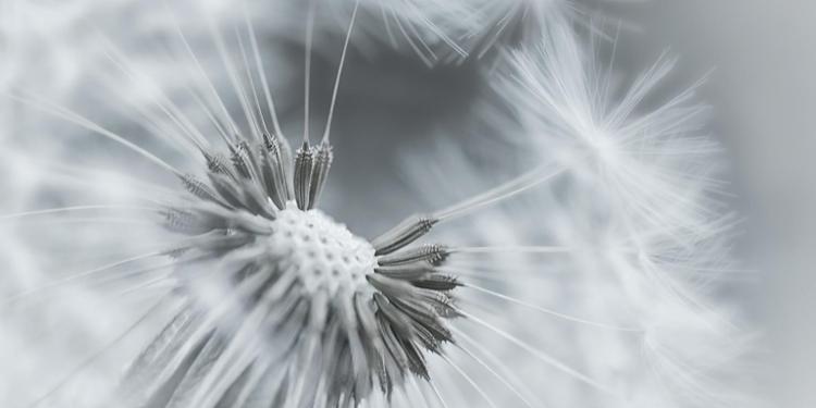 独自走在街头的说说 冷清的街上独自徘徊(图1)