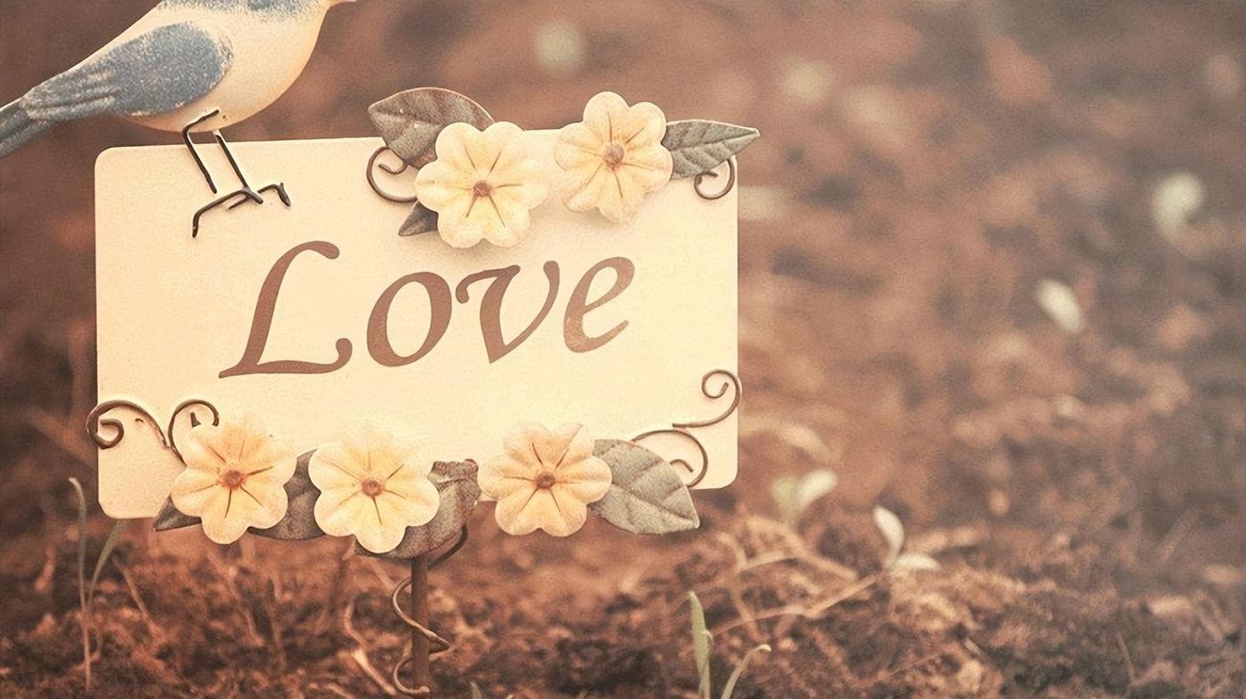 最火的情感语录 爱情的句子唯美短句(图1)