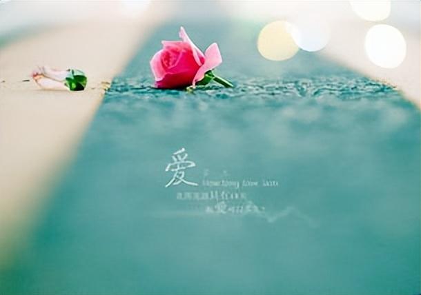 最火的情感语录 爱情的句子唯美短句(图3)