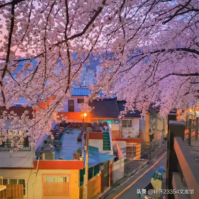 温柔文案:从前我喜欢一个人，现在我喜欢一个人。(图2)