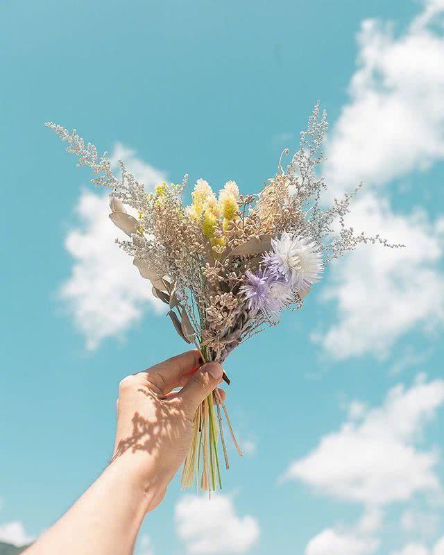 早上起床鼓励自己的句子，经典励志，越读越优秀(图4)