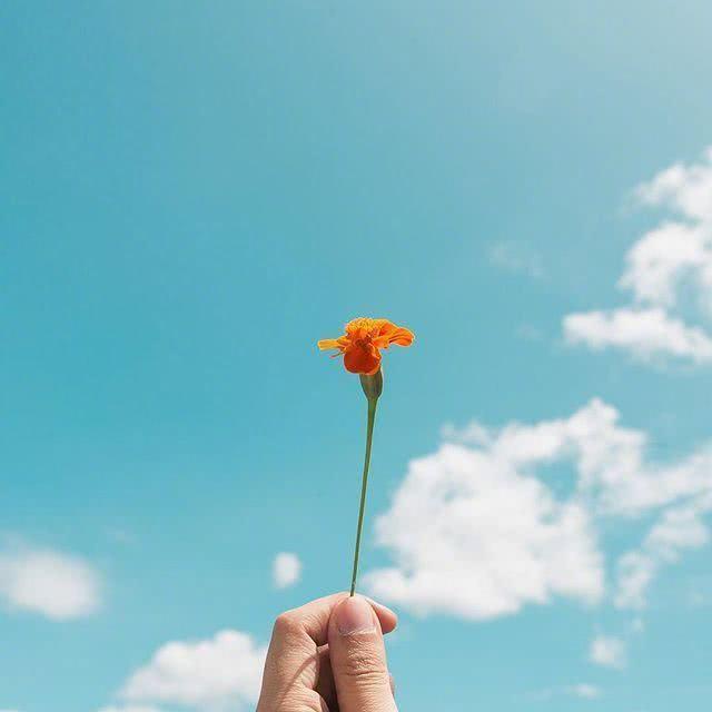 早上起床鼓励自己的句子，经典励志，越读越优秀(图6)