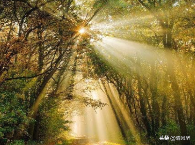 起床正能量早安说说(图2)