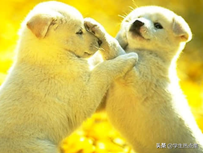 曾最非主流的兄弟，霸气重情义的说说你们还记得吗？(图11)