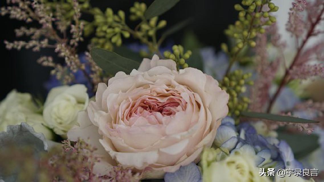 深入人心的情感句子，眼泪是没有用的如果有用，这世界早被淹没了(图6)