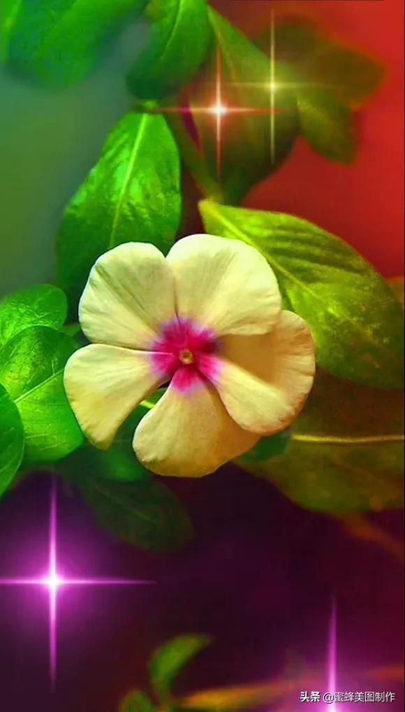 百花争艳，招蜂引蝶，鸟语花香，美轮美奂(图40)