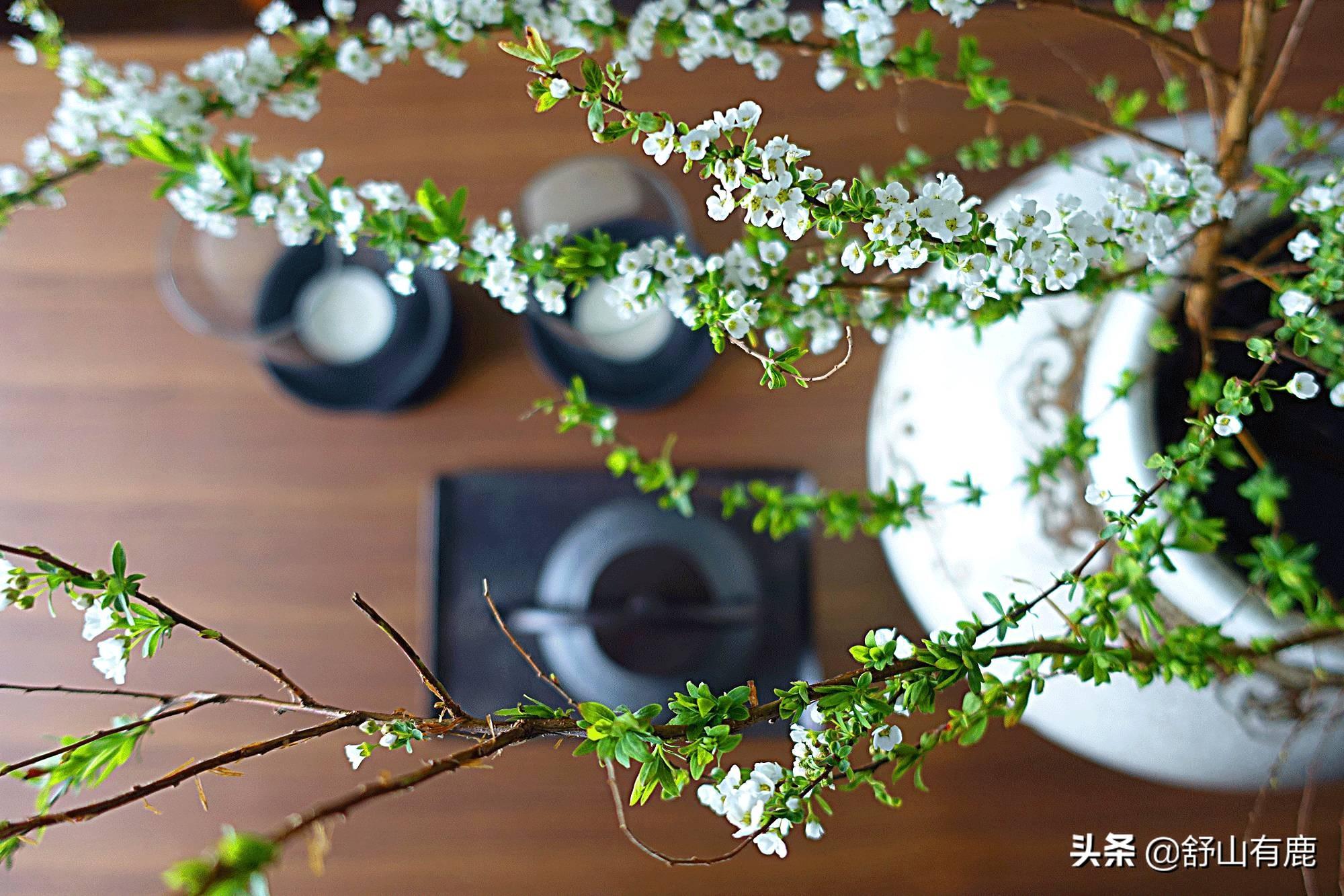 老了才明白：红尘俗世走一遭，一切都是“最好的安排”(图8)