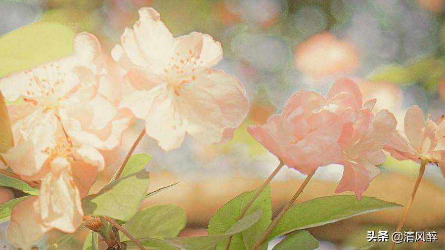 心情很不好不想说话高级说说(图2)