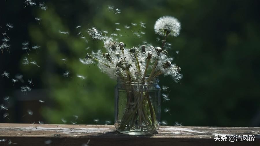 心情很不好不想说话高级说说(图3)