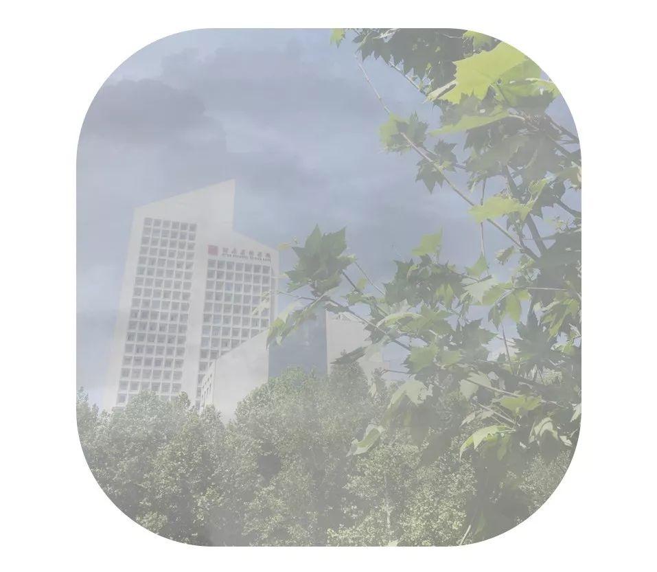 最安心的不过是抬头45度仰望天空，看到的不是灰蒙蒙，而是静谧幽深的蓝(图2)