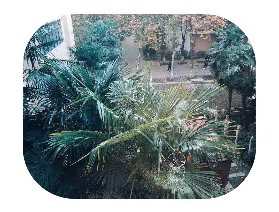 最安心的不过是抬头45度仰望天空，看到的不是灰蒙蒙，而是静谧幽深的蓝(图15)