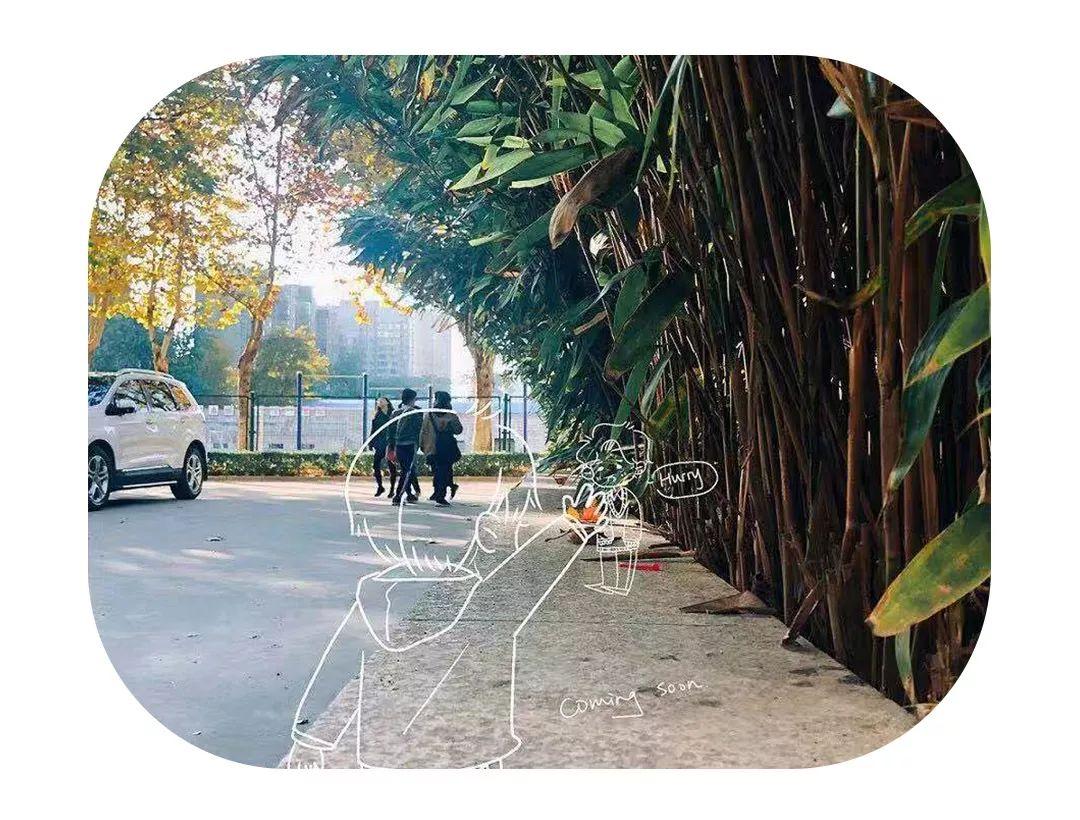 最安心的不过是抬头45度仰望天空，看到的不是灰蒙蒙，而是静谧幽深的蓝(图19)