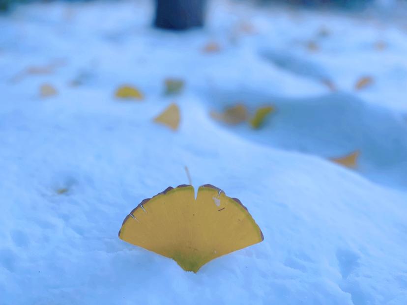 励志语录 有梦想，才有诗和远方(图4)