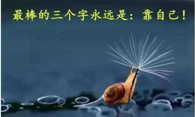 现实戳心的话：因为梦想所以选择远方；因为无依靠，所以必须坚强(图6)