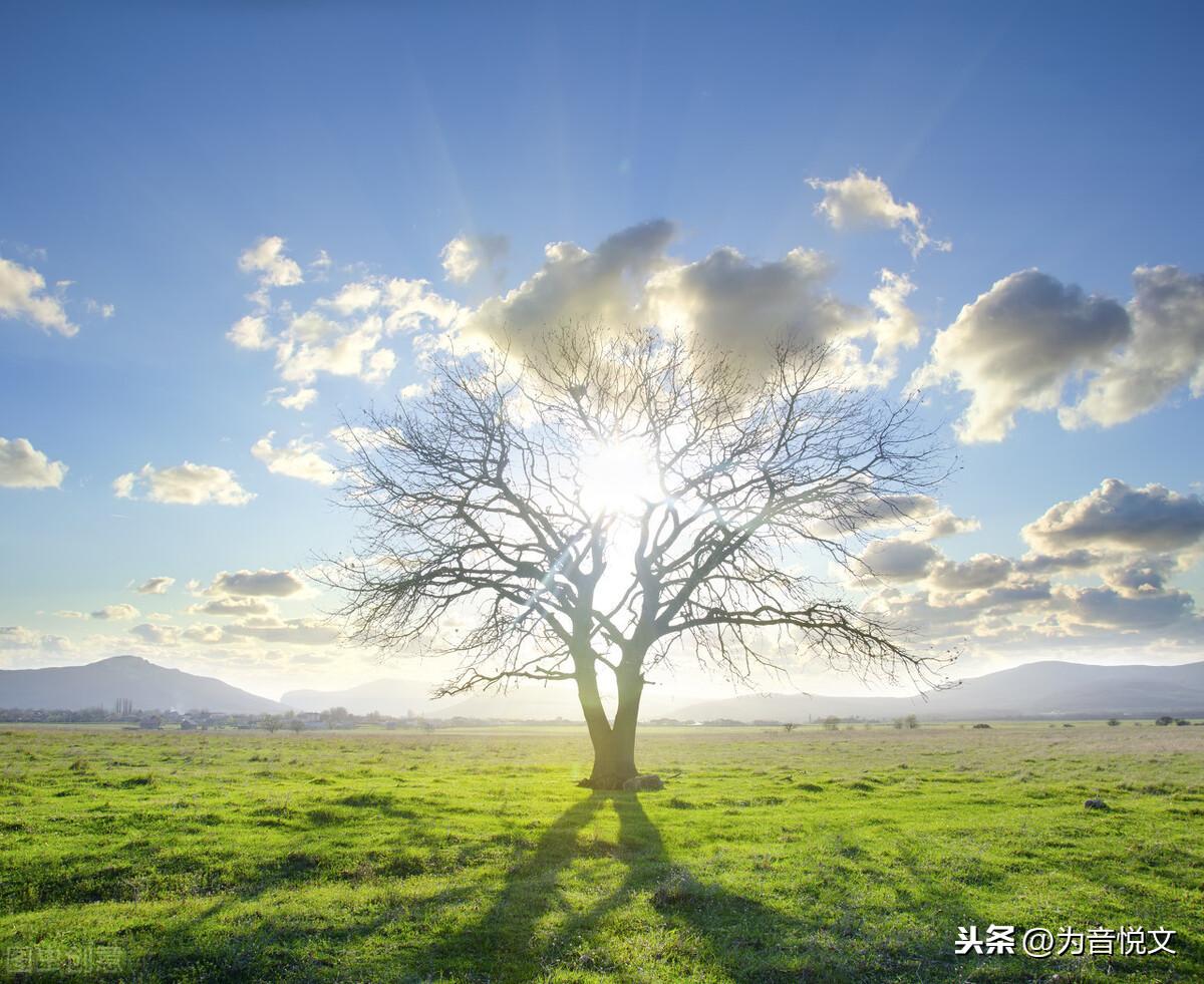 那些令人念念不忘的唯美句子(图1)