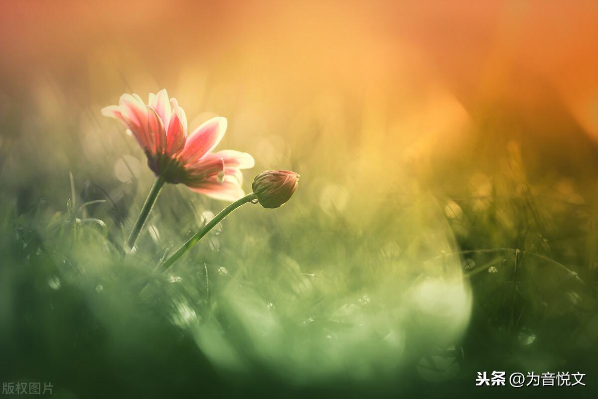 那些令人念念不忘的唯美句子(图9)