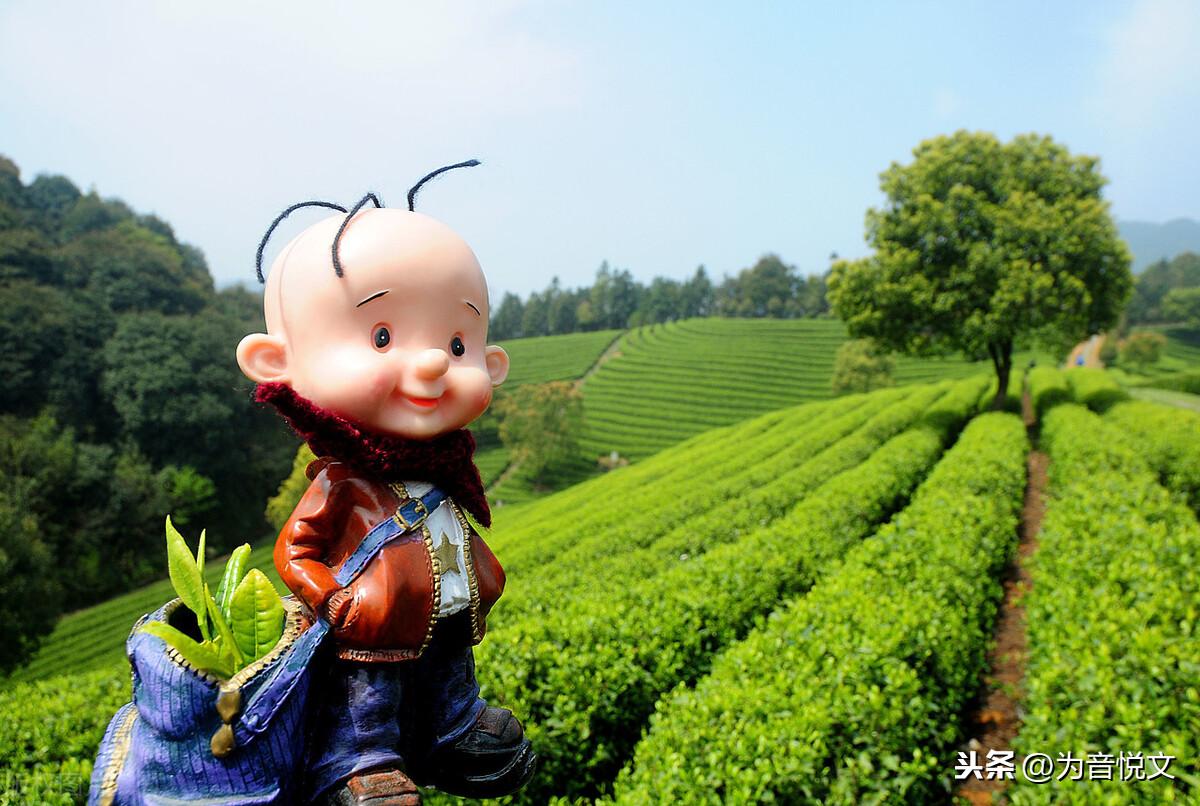 那些令人念念不忘的唯美句子(图18)