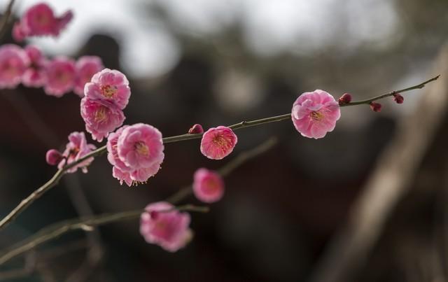 有一种思念，在心里，在梦里，一直萦绕在心头(图3)