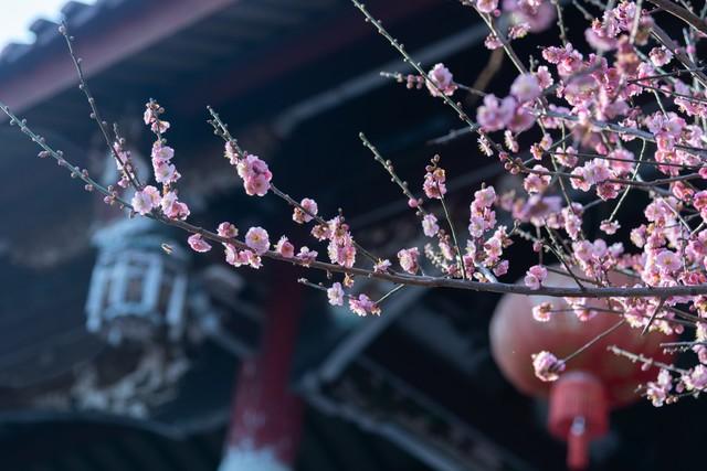 有一种思念，在心里，在梦里，一直萦绕在心头(图4)