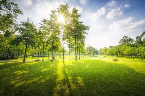 总有一些人，萦绕在心头，挥之不去；总有一些情在心间，刻骨铭记(图2)
