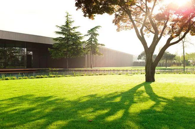 总有一些人，萦绕在心头，挥之不去；总有一些情在心间，刻骨铭记(图4)